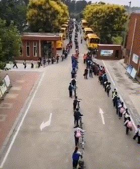 这只鹦鹉一直以为他是一只猴，所以每天都在重复做这个动作