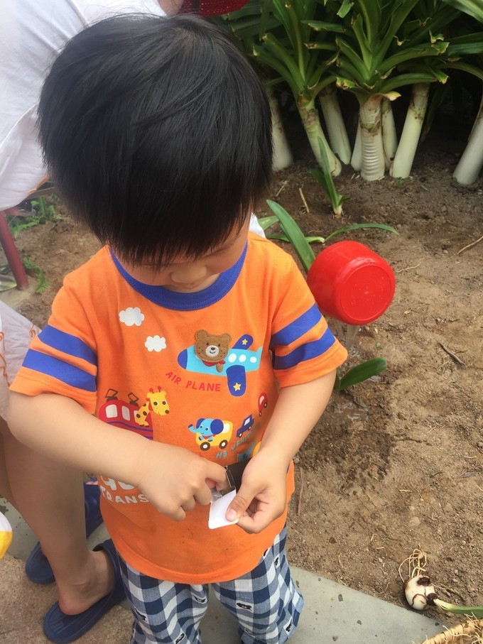 三亚自由行游玩攻略详细,三亚自由行攻略最详细