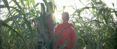 近30年来中国最好的电影,一部三十年前的国产青春电影