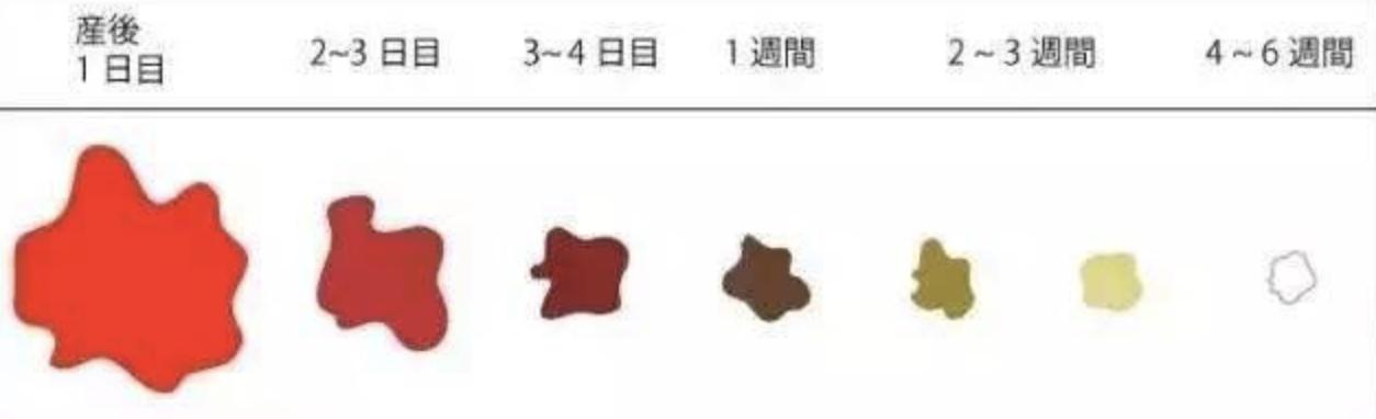 产后如何判断子宫恢复情况,产后42天子宫偏大怎么恢复