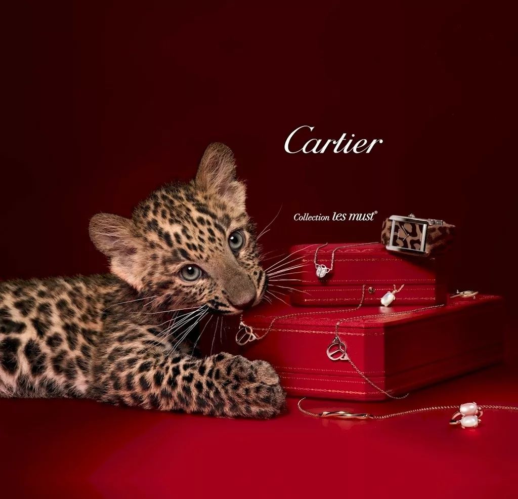 卡地亚手表官网价格,卡地亚韩国官网价格表