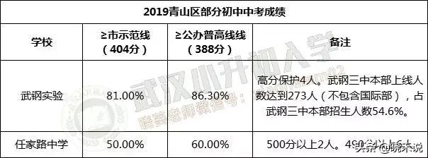青山区武钢实验学校好进吗,武钢实验中学排名第几
