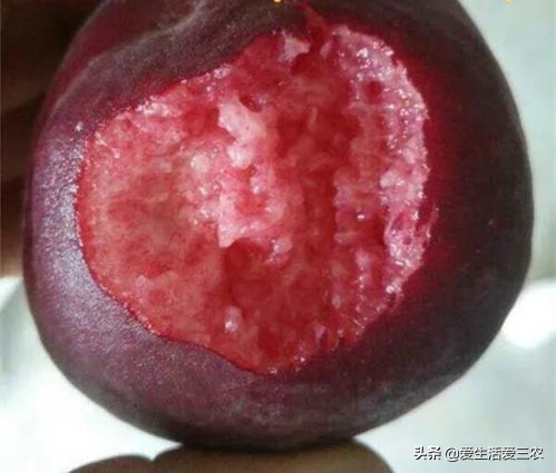 优质农产品黑桃,中华黑桃王的优缺点