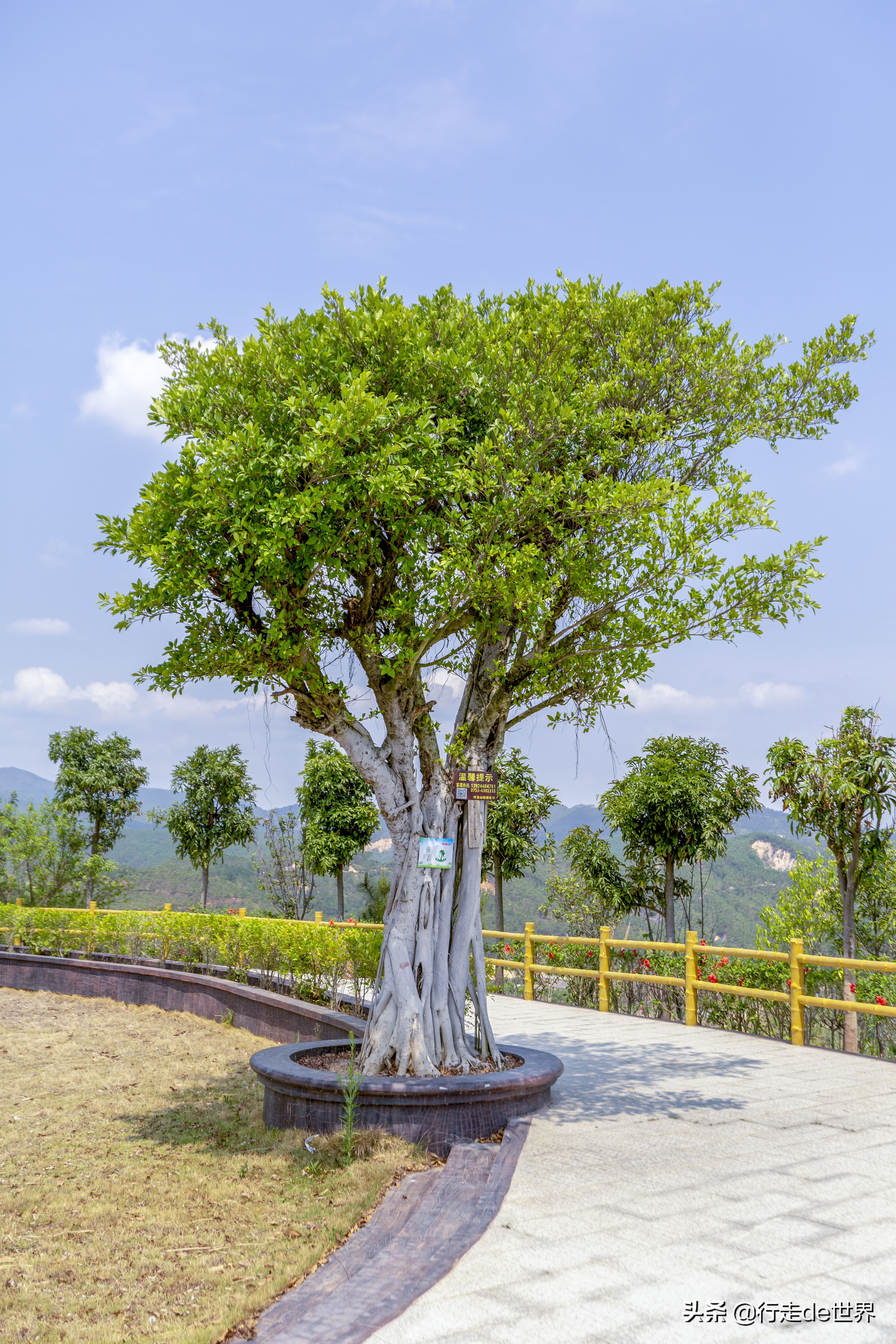 梅州五华哪里自驾游最好,广州自驾游梅州3天两夜