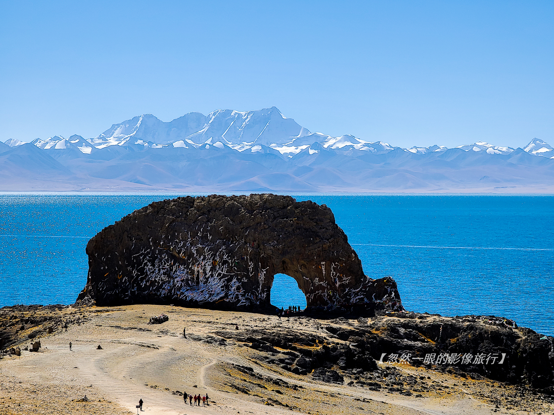 阿里无人区野狼出没,阿里无人区狐狸