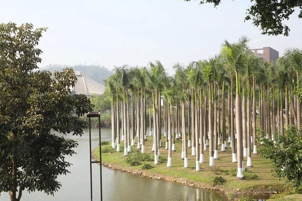 北京师范大学珠海分校2018入校,北京师范大学珠海校区简介