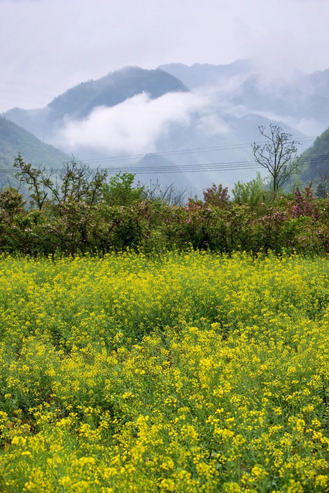 汉中周边踏青的好地方有哪些,汉中乡村游秘境