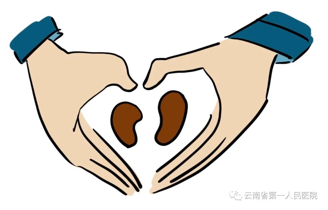 高磷引起皮肤瘙痒,血磷高引起皮肤瘙痒的原因