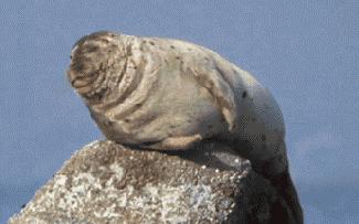 怎么笑话自己,搞个笑话逗自己开心