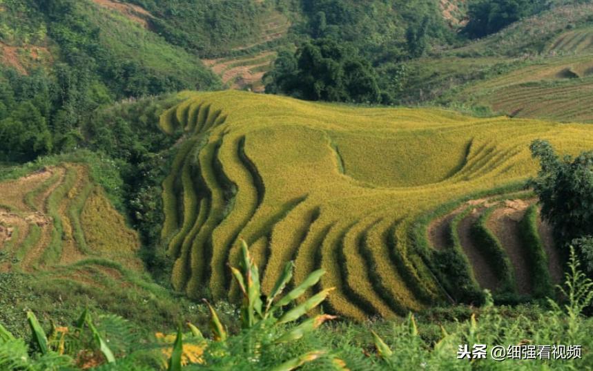 越南最美丽的地方 (越南风景最美的地方是)