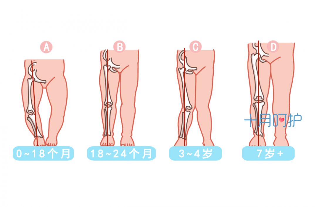 医生科普新生儿,医生必知的100个秘密