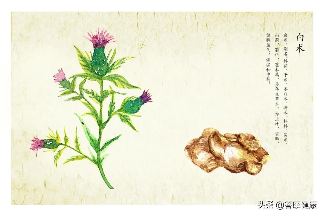 湿疹、犯困…折磨人的「湿邪」到底是什么？怎么辨？怎么治？