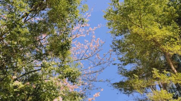 干货|短视频成新风口，那些网红都在用的手机剪辑工具！