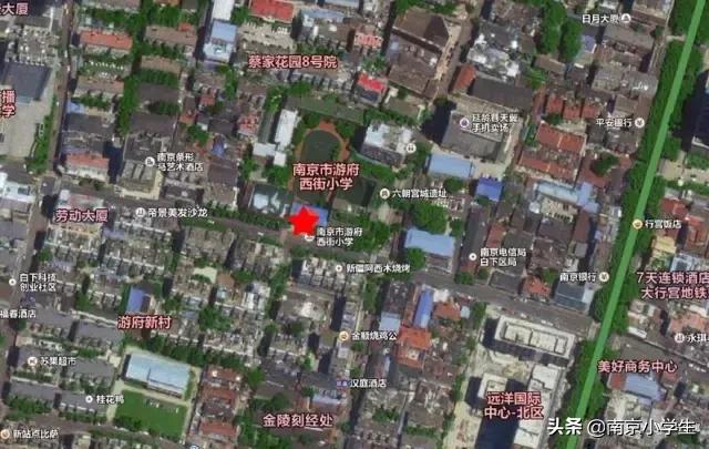 骄傲！游府西街小学又诞生了一个世界冠军