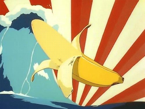 叮叮也会折断：关于叮叮，你可能还不知道的5个真相