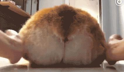 汤圆月圆人团圆下一句,月圆汤圆人更圆视频