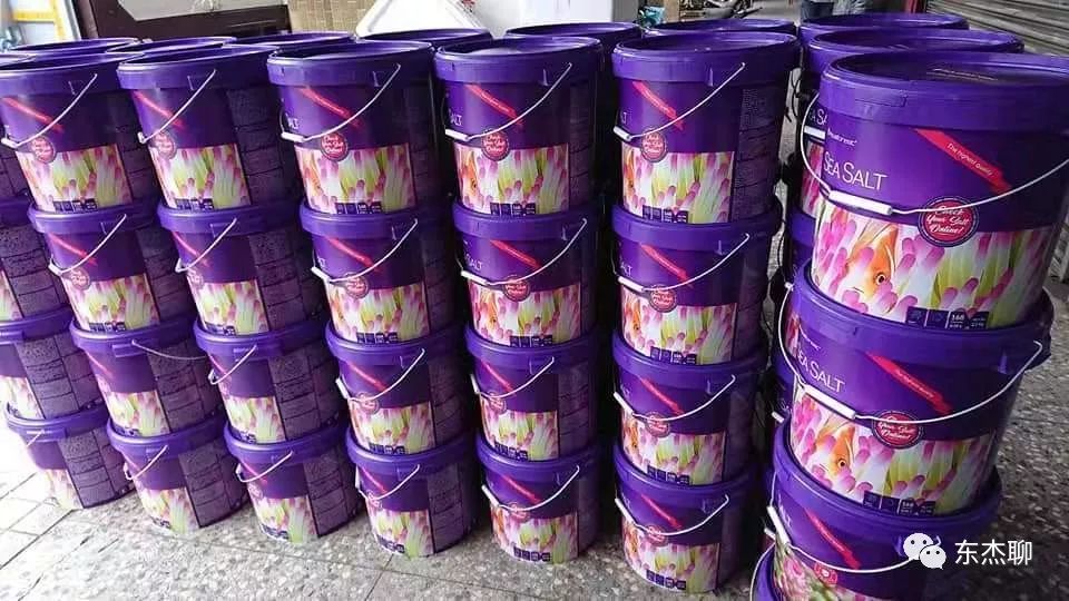 海水鱼缸怎么养好水质,海水怎样来的