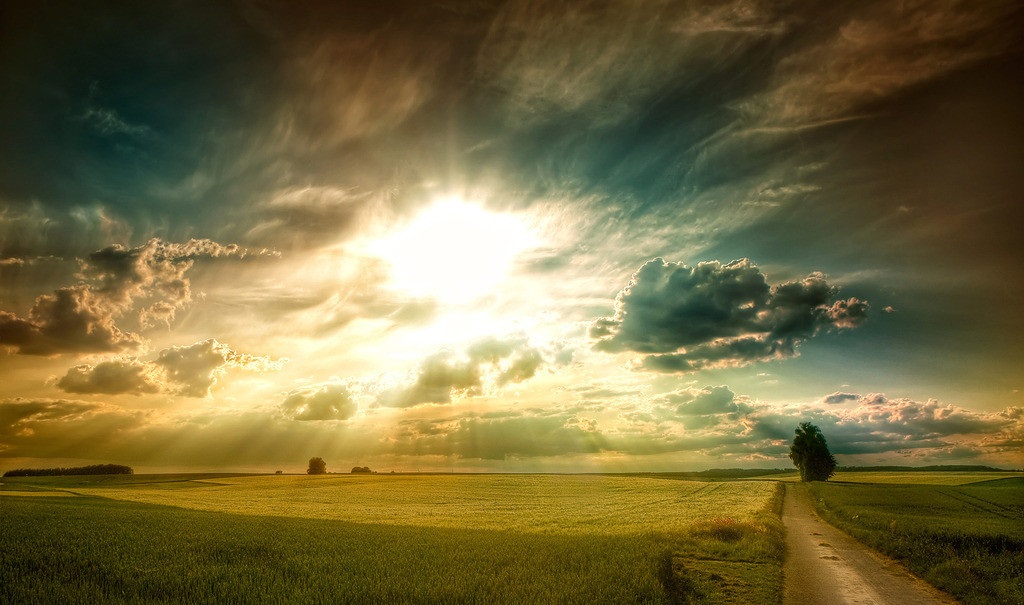 心理学与代沟,心理学家对于代沟的看法