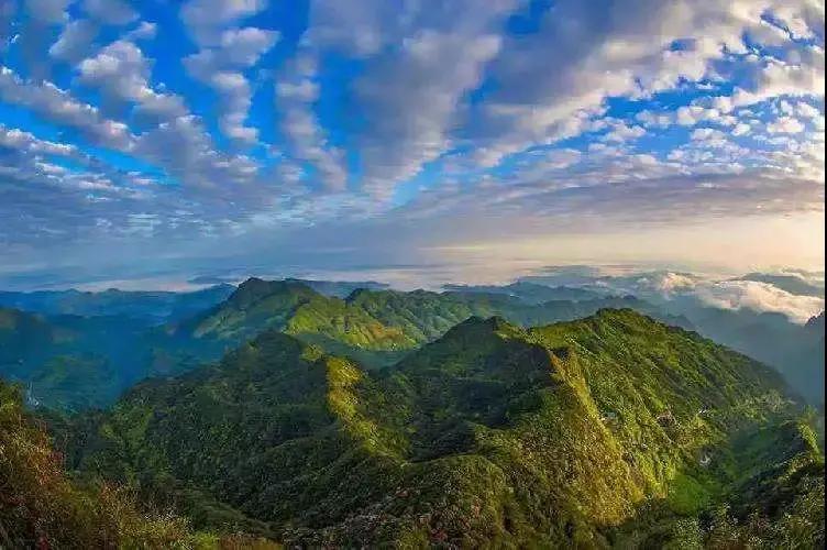 遵义方竹丰收节,2023年中国农民丰收节走进蓬安