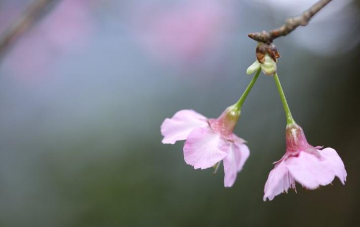 如果你爱上有家庭的男人就放手吧,如果你爱上一个人该怎么做呢