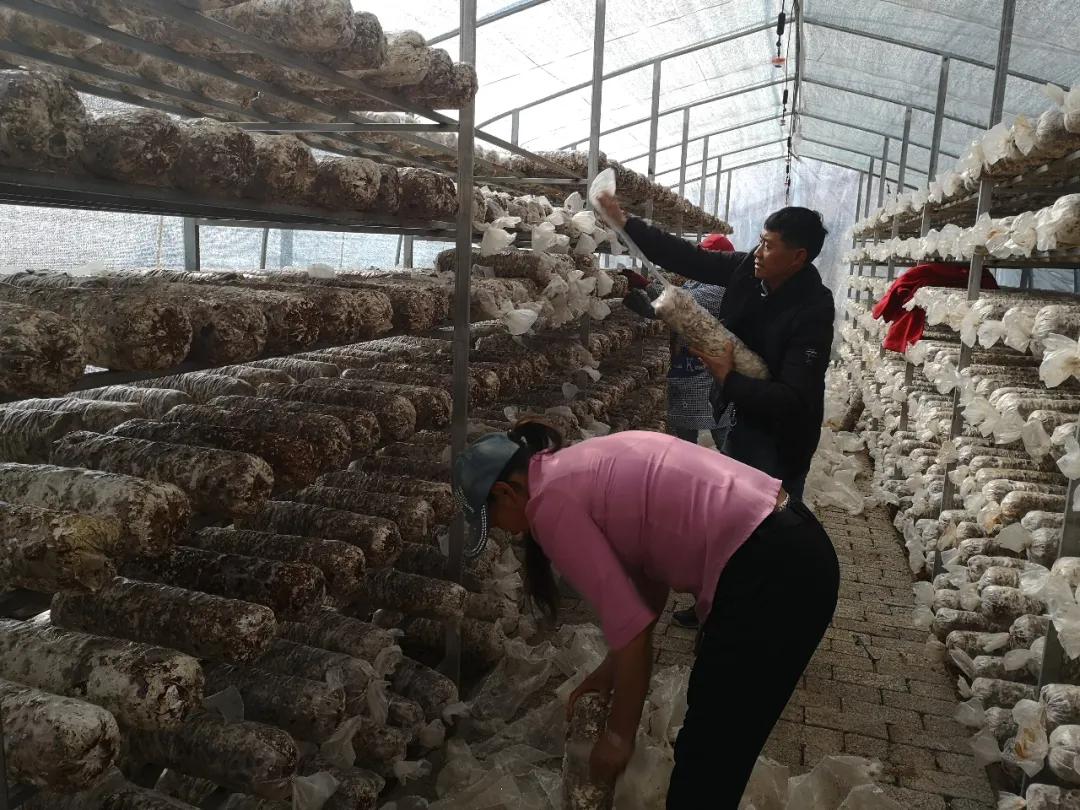 鲁甸卯家湾易地搬迁安置项目,鲁甸卯家湾搬迁摇号分房