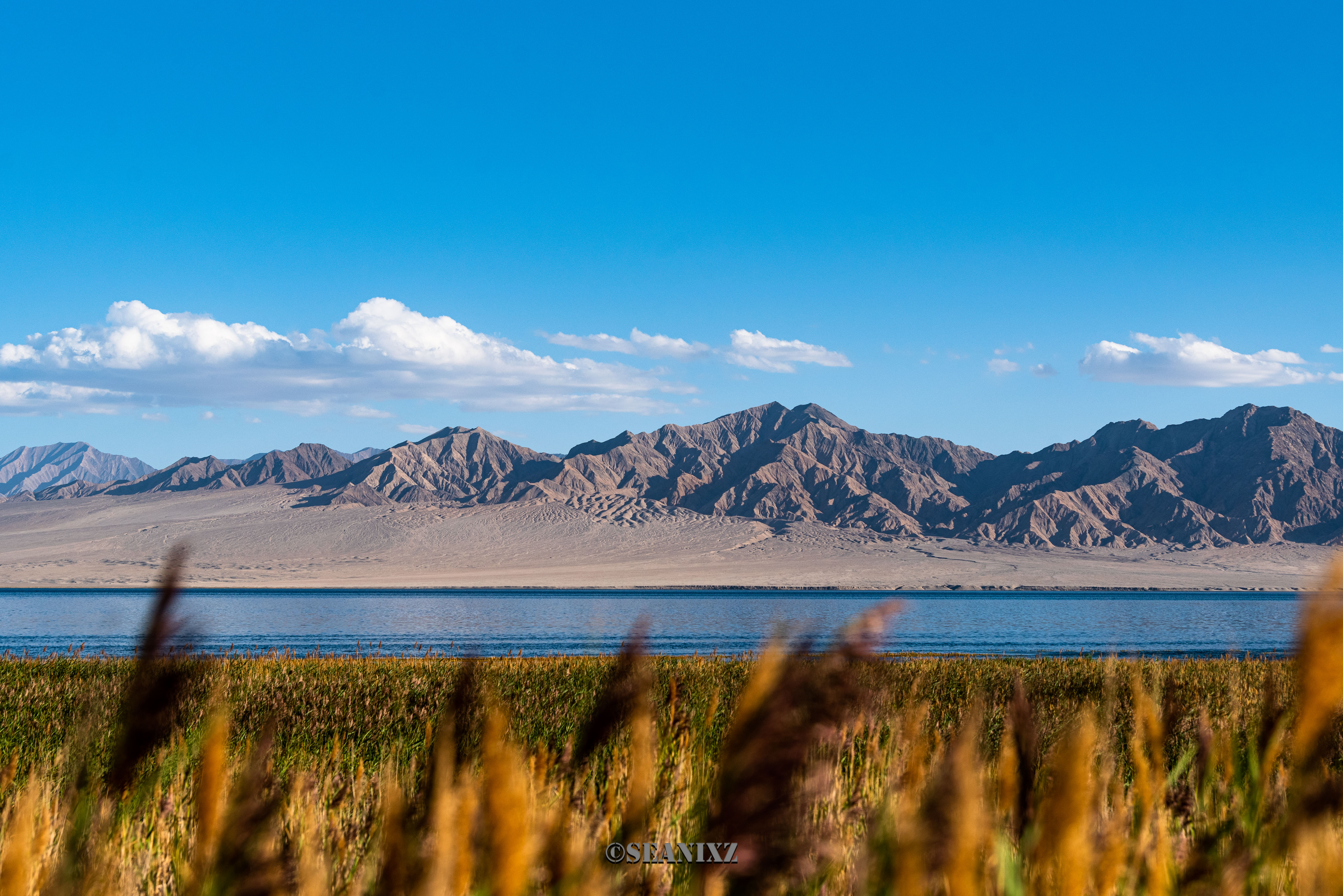 闪迪至尊高速tf256g评测,闪迪至尊高速移动microsdhc存储卡