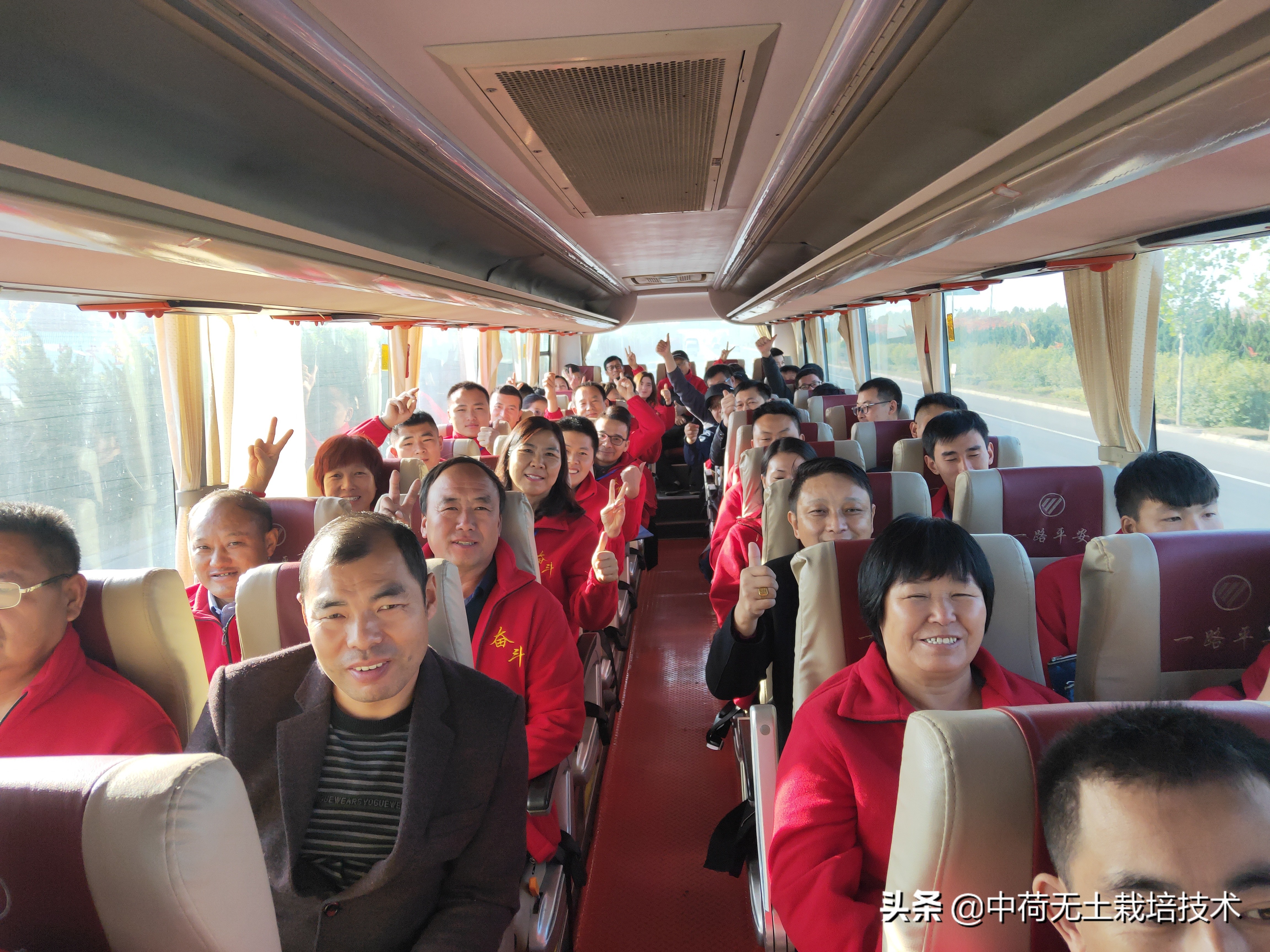 无土韭菜栽培技术,生菜无土栽培视频