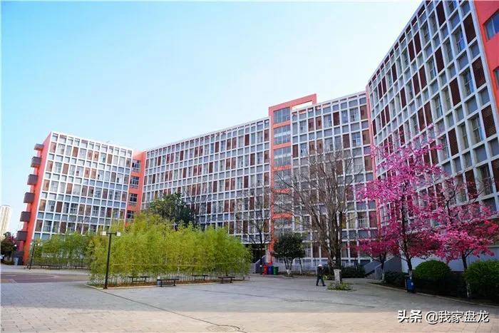 盘龙高中,盘龙学校高中