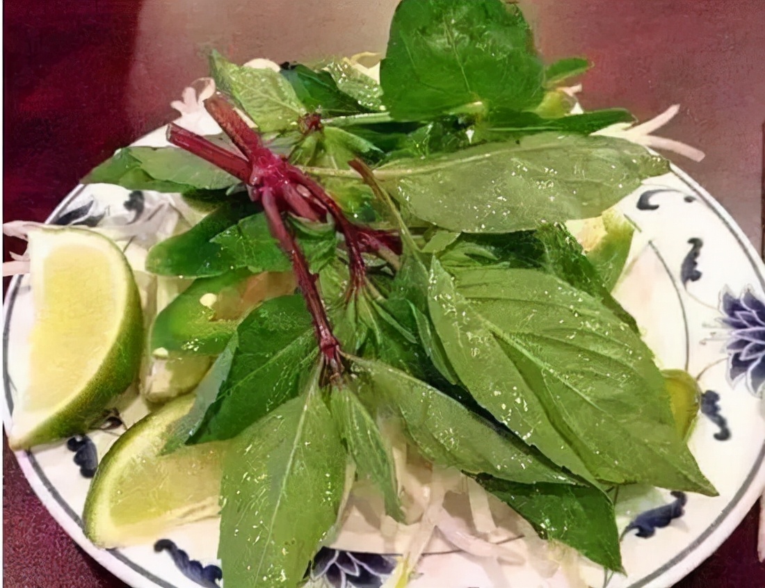 狼哥越南 (权哥带你了解越南)