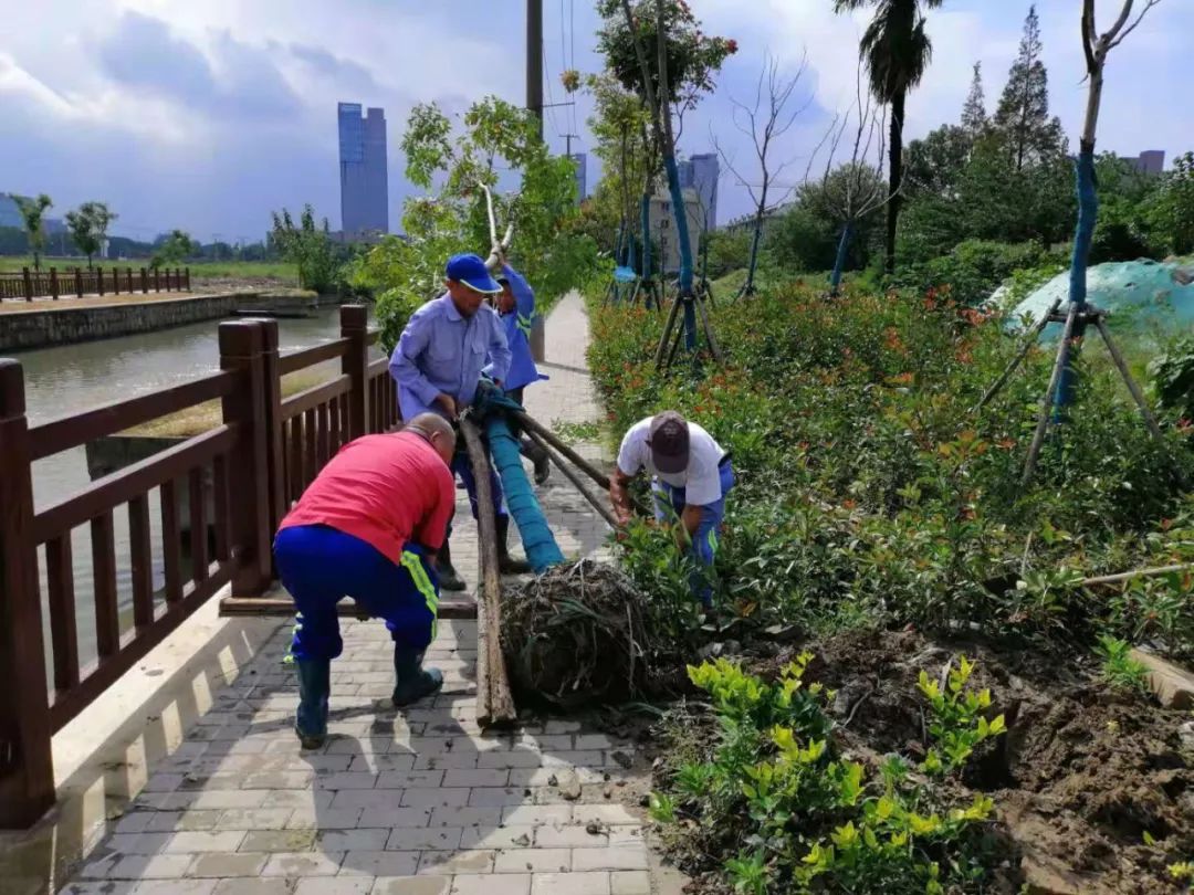 进博的温度,进博热度