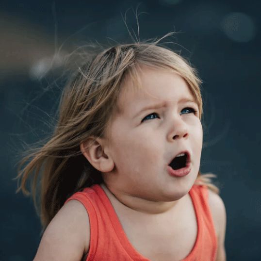 大姨妈和痔疮一起来了，小仙女怎么办？