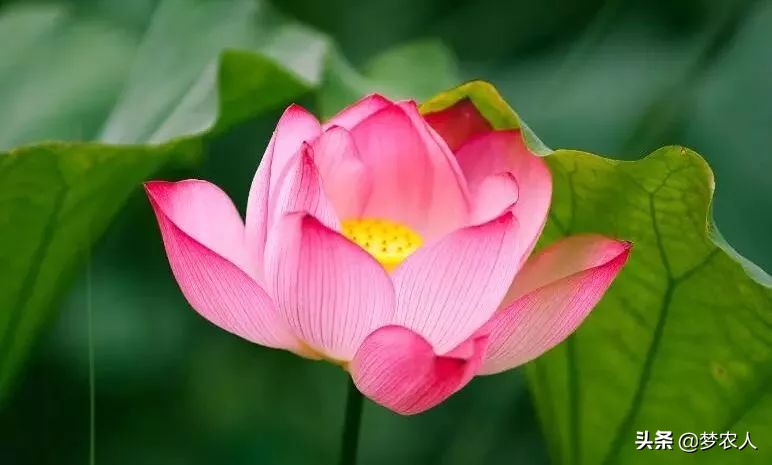 我们终此一生就要摆脱他人的期待,我们终其一生就是要摆脱别人期待