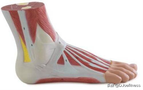 举重脚力怎么训练,为什么要穿袜子健身