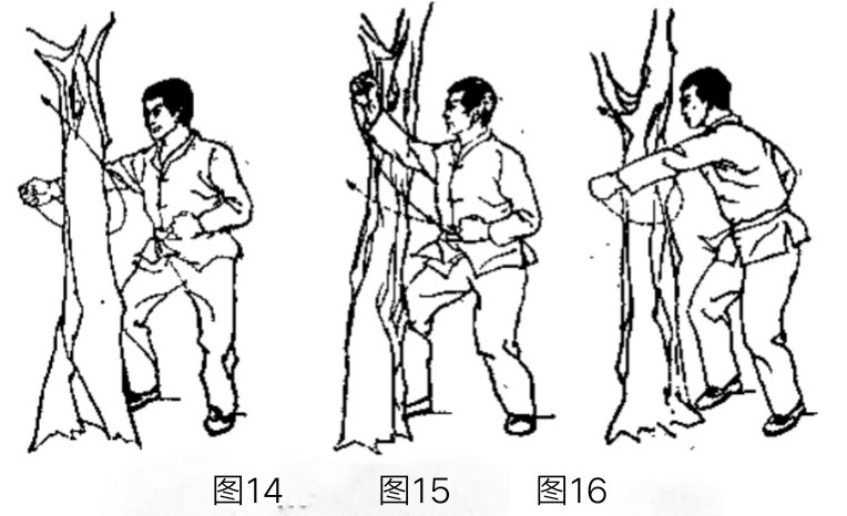 南少林镇寺绝技,南少林寺禅武学校训练
