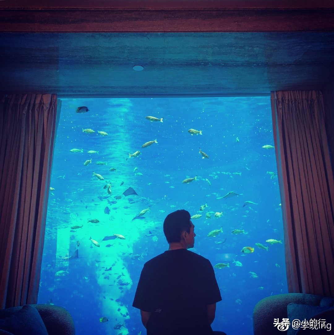 亲爱的热爱的gun神出场,亲爱的热爱的gun神韩商言讲话