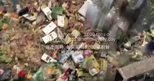 从中华文明探源中汲取复兴伟力,中华文化得以延续的活水源头