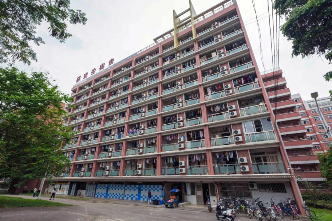 报考华南农业大学,华农报录比