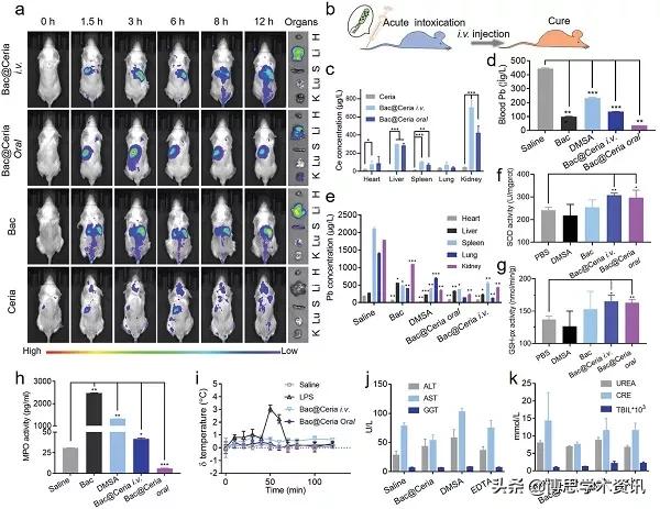 减轻重金属中毒,重金属中毒的斑怎么治疗