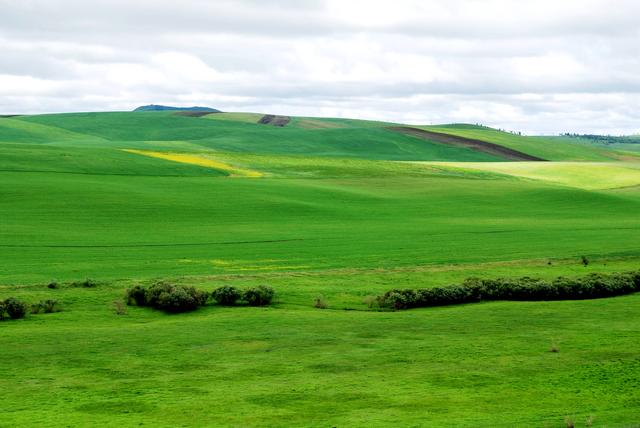 一辆车，从东乌旗沿中蒙边境公路到阿尔山，漫长边关寻迹历史遗存