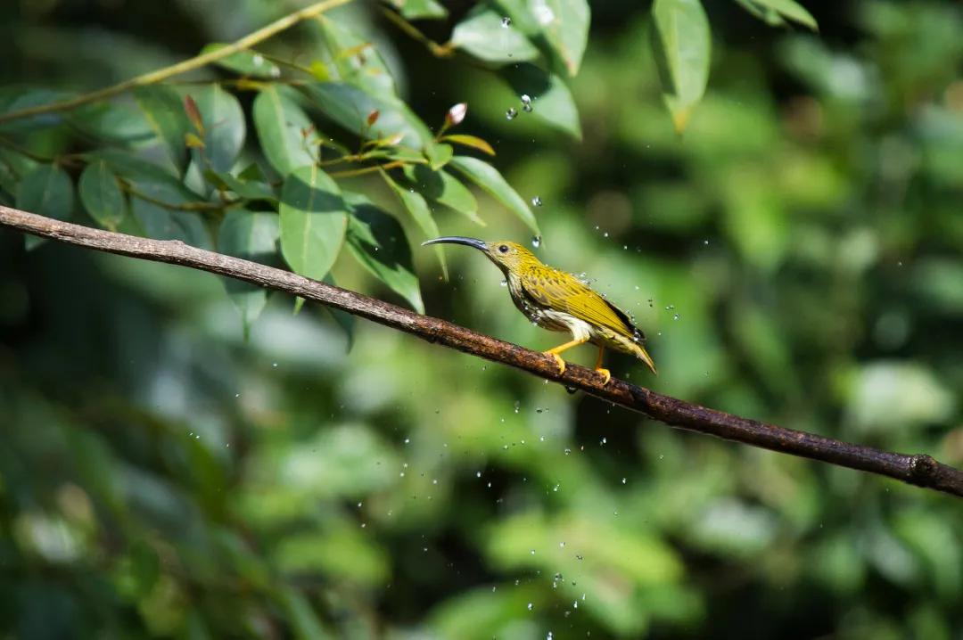 云南淡季旅游线路推荐,云南春季旅行推荐