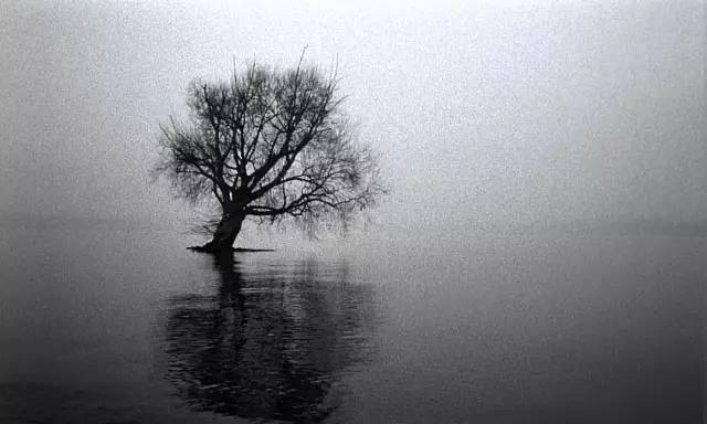 读懂彼得·汉德克，走进《柏林苍穹下》的诗意世界