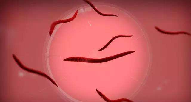 豆角没熟吃了的中毒现象,豆角没熟会中毒案例