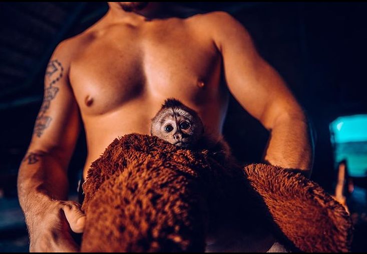 放弃百万年薪，去非洲撸猫？长腿版小李子引63w人舔屏：看我看我