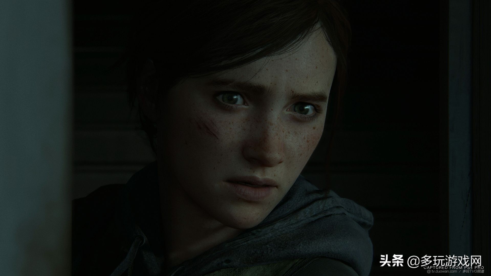 ps4最后生还者2在哪里下,最后生还者2官方预告