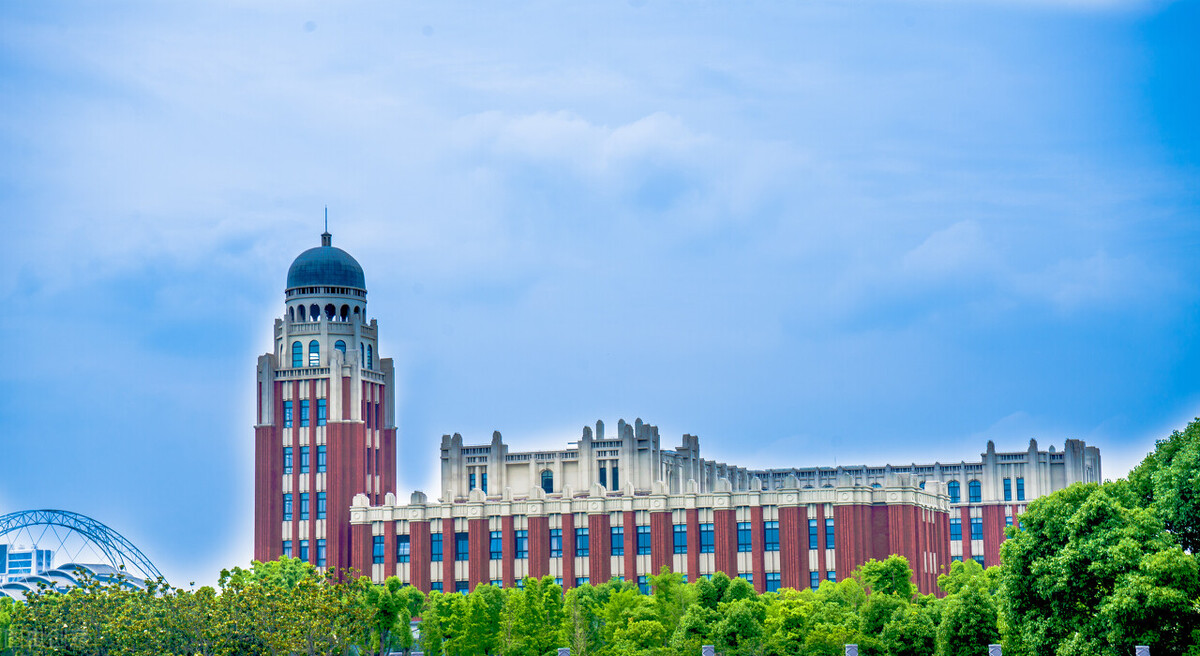 沙漠里的胡杨树是什么样子的,沙漠里的胡杨树作文