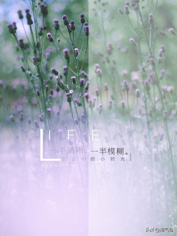 秋分愿生活恰如其分,人生恰如秋分生活恰如其分