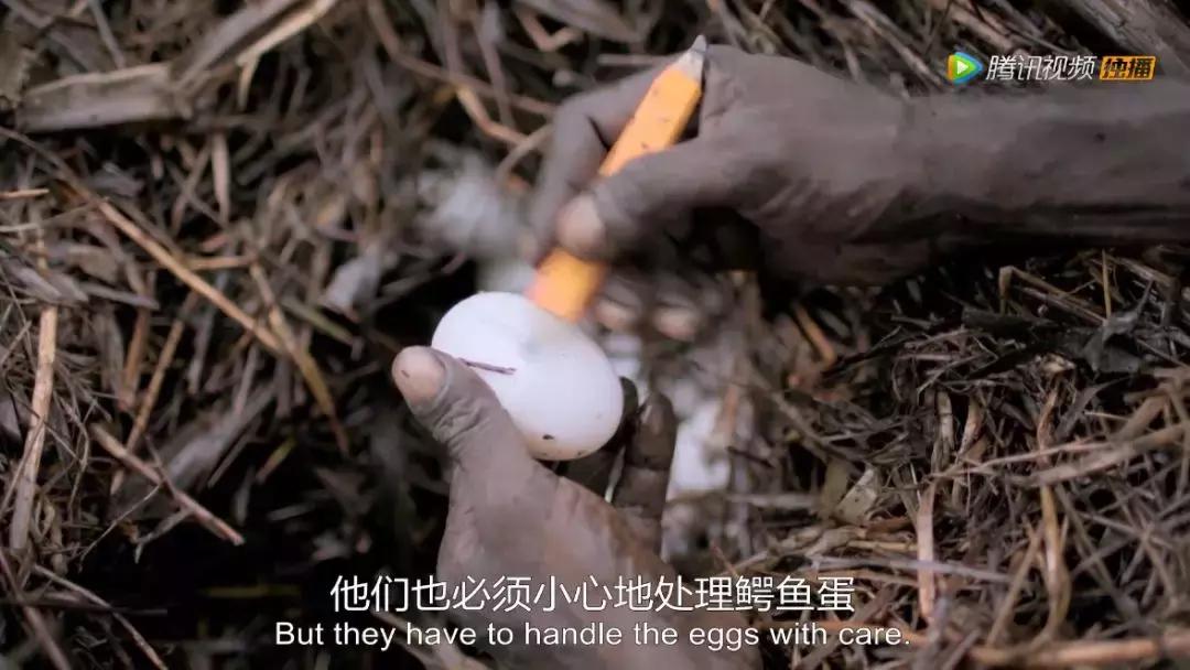 人在逆境要懂得坚持,面对逆境向阳而生