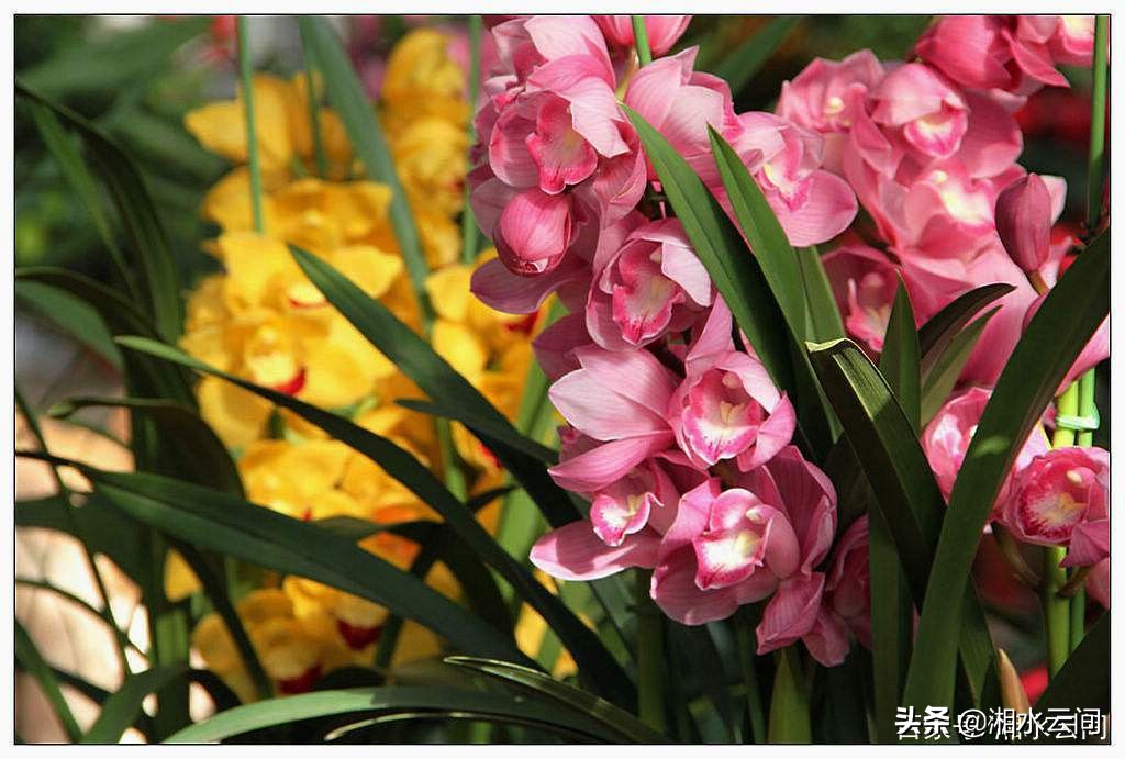 上班族职业病的应对招数,需要上夜班的职业怎么调理身体