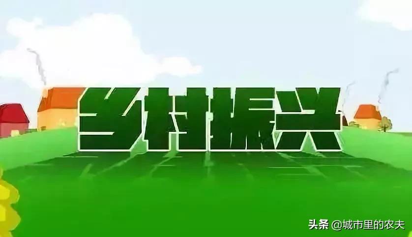 你不得不知道的农村电商创业项目,农村电商创业企业赚钱模式