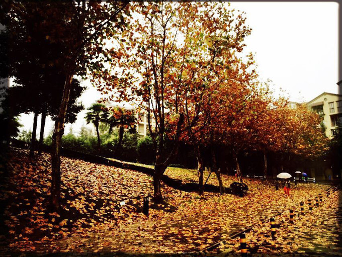 又一次“进京”，却也是走的匆忙......